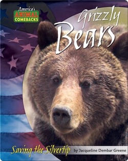 Grizzly Bears: Saving the Silvertip