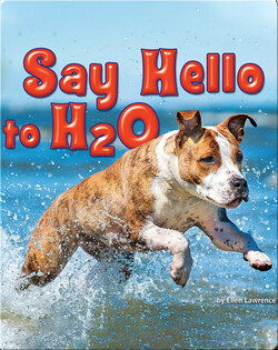 Say Hello to H2O