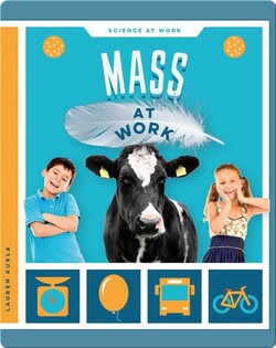 Mass at Work