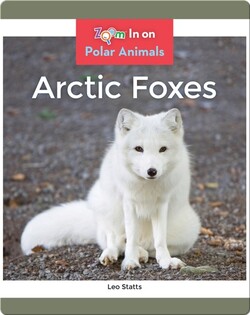 Arctic Foxes