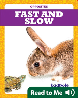 Fast and Slow
