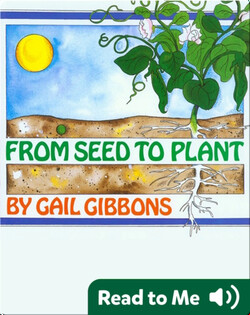 From Seed to Plant