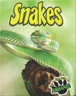 Snakes