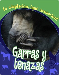 Garras y tenazas