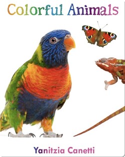 Colorful Animals