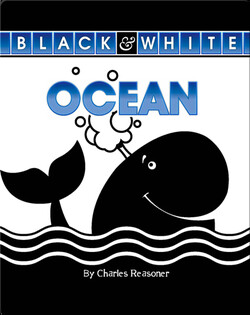Ocean