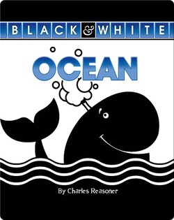 Ocean