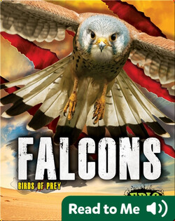 Falcons
