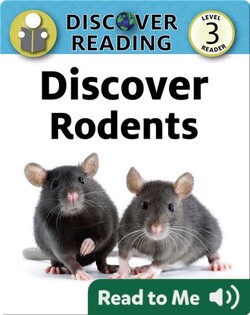 Discover Rodents