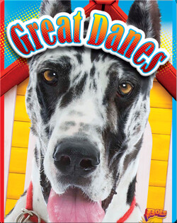 Great Danes