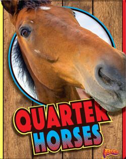 Quarter Horses