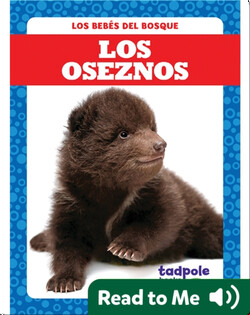 Los Oseznos
