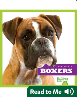 Boxers