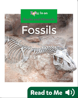 Fossils