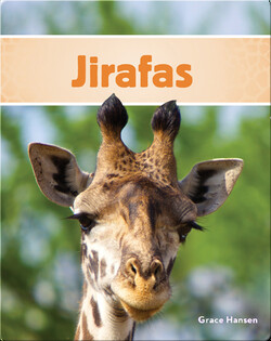 Jirafas