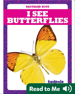 I See Butterflies