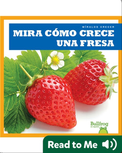 Mira cómo crece una fresa (Watch a Strawberry Grow)