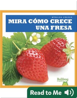 Mira cómo crece una fresa (Watch a Strawberry Grow)