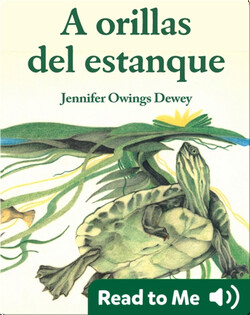 A orillas del estanque