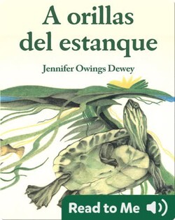 A orillas del estanque