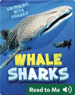 Whale Sharks