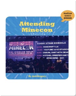 Attending MINECON