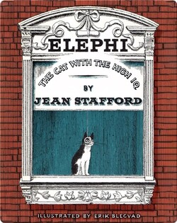 Elephi The Cat With The High IQ