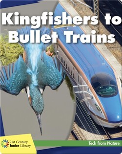 Kingfishers to Bullet Trains
