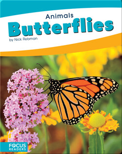Animals: Butterflies