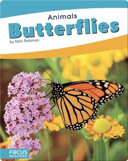 Animals: Butterflies