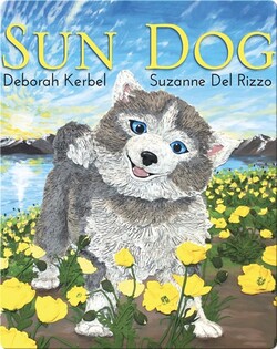 Sun Dog