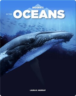 In The Oceans