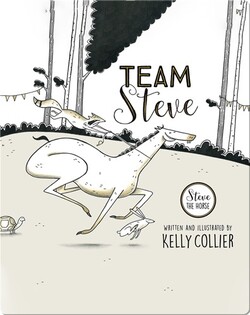 Team Steve
