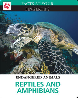 Reptiles and Amphibians