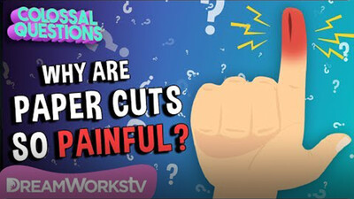 Why Do Paper Cuts Hurt So Much? | COLOSSAL QUESTIONS