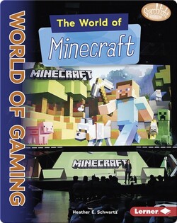 The World of Minecraft