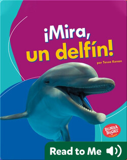 ¡Mira, un delfín! (Look, a Dolphin!)