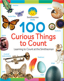 100 Curious Things to Count