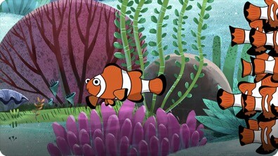 I’m A Clown Fish