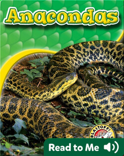 Anacondas: Snakes Alive