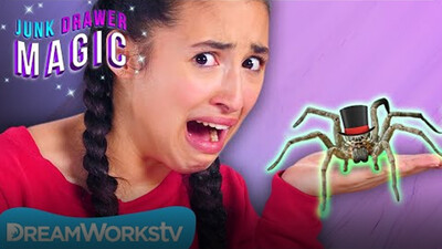 Pet Spider | JUNK DRAWER MAGIC