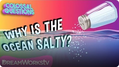 Why Is The Ocean Salty? | COLOSSAL QUESTIONS