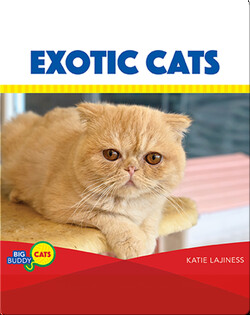 Exotic Cats