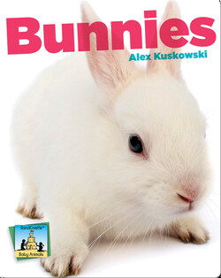 Bunnies