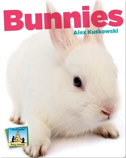 Bunnies