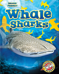Shark Frenzy: Whale Sharks