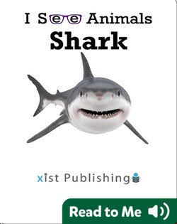 I See Animals: Shark