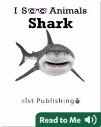 I See Animals: Shark