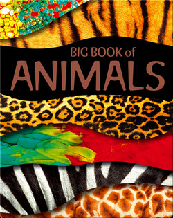 Big Book of Animals