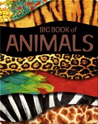 Big Book of Animals